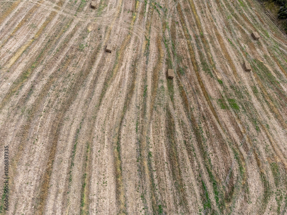 field of newly arrived straw, Artajona, Foral Community of Navarre, Spain field of newly arrived straw, Artajona, Foral Community of Navarre, Spain