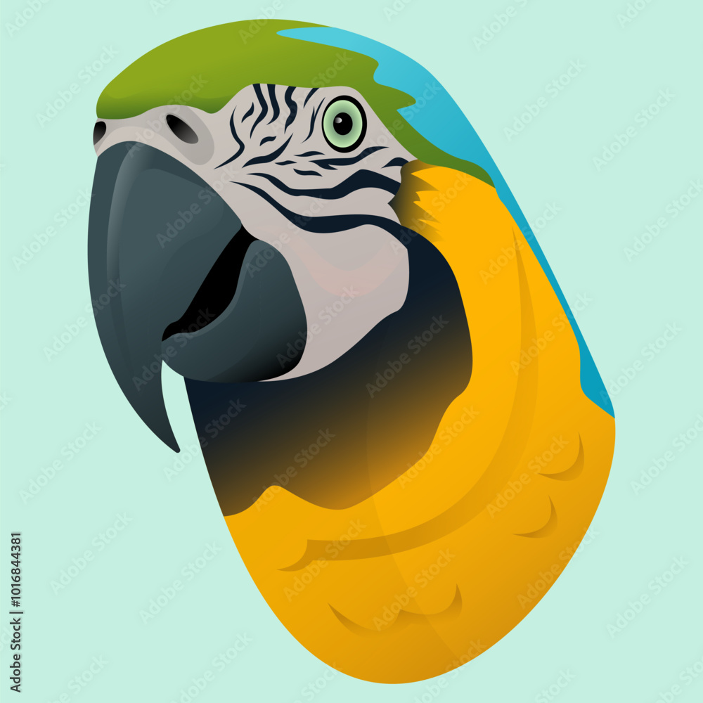 Realistic face of a macaw, parrot vector illustration