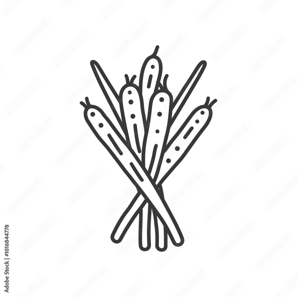 Line drawing of a bunch of lemongrass stalks Line drawing of a bunch of lemongrass stalks