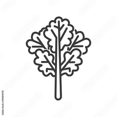 Line drawing of a bunch of kale leaves