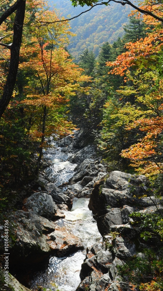 Autumn hues blanket a tranquil river winding through a rocky forest landscape Autumn hues blanket a tranquil river winding through a rocky forest landscape