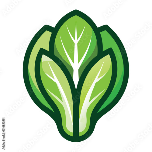  fresh bok choy Vegetable Vector illustration of Leaf cabbage pak choy, bok choy silhouette icon