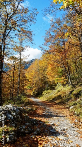 A tranquil autumn trail adorned with colorful leaves in a serene mountain landscape