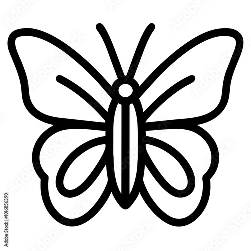 butterfly