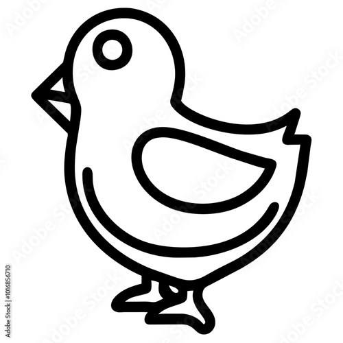 chick