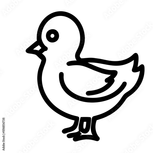 chick
