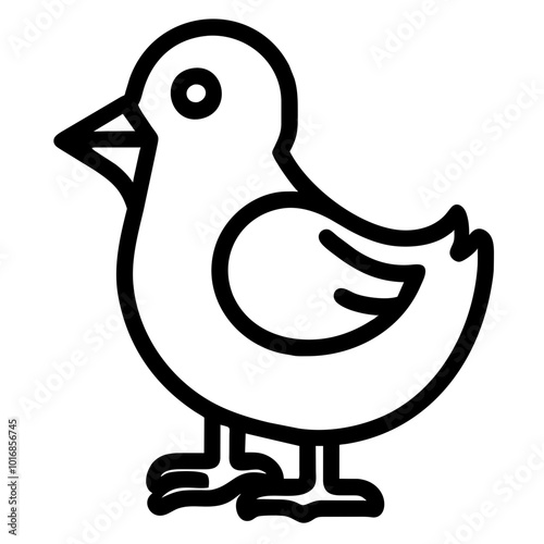 chick