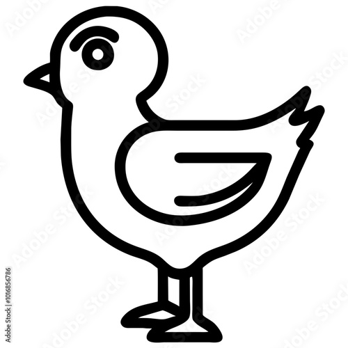 chick