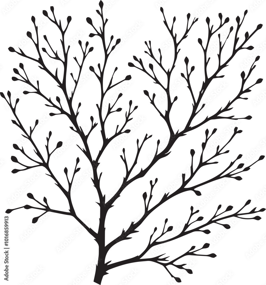 Beautiful Tree Branch silhouette vector illustration isolated on a white background Beautiful Tree Branch silhouette vector illustration isolated on a white background