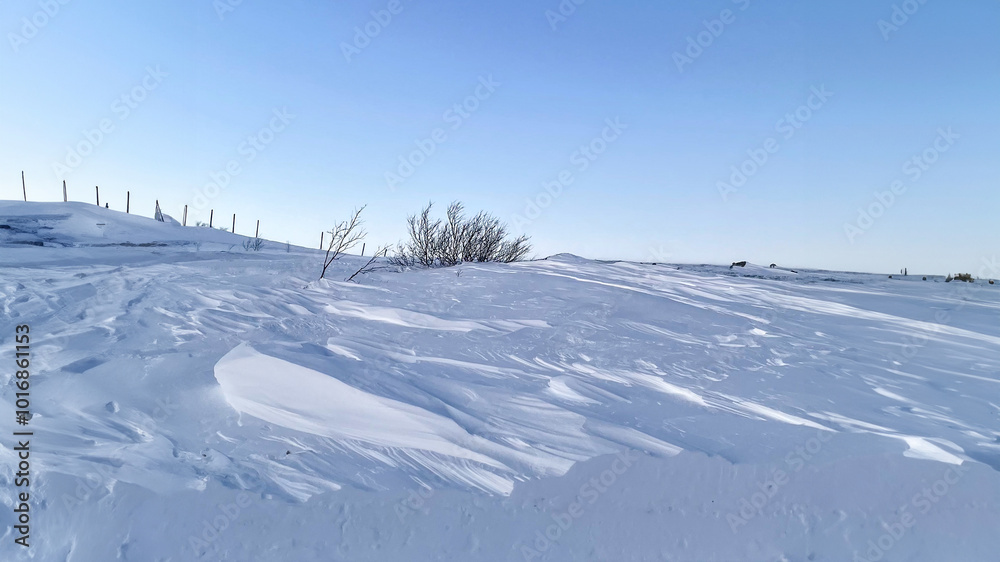 Snow-covered landscape with barren branches under a clear blue sky, capturing the serene beauty of winter solitude Snow-covered landscape with barren branches under a clear blue sky, capturing the serene beauty of winter solitude