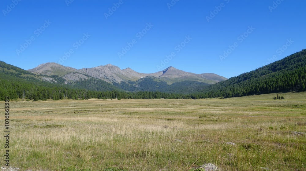 Fototapeta premium Expansive meadow with rolling mountains under a clear blue sky in the serene wilderness
