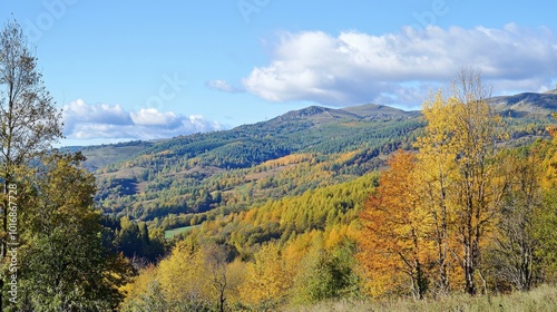 Autumn hues blanket the rolling hills in a vibrant landscape under a bright blue sky