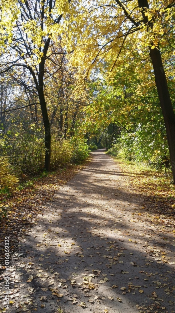 Fototapeta premium A tranquil autumn path lined with vibrant foliage in a serene forest setting