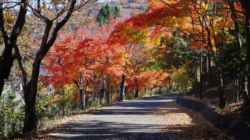 Vibrant autumn leaves lining a serene path through a picturesque landscape in the afternoon Vibrant autumn leaves lining a serene path through a picturesque landscape in the afternoon