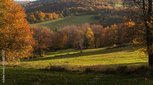 Autumn colors blanket rolling hills in a serene countryside landscape at dusk