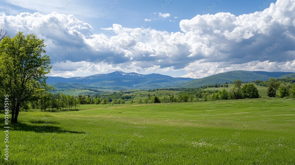 A serene landscape of rolling green hills under a cloudy blue sky in early summer A serene landscape of rolling green hills under a cloudy blue sky in early summer