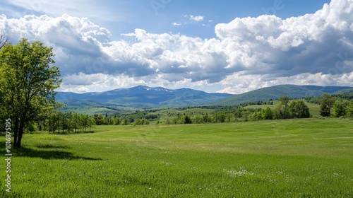 A serene landscape of rolling green hills under a cloudy blue sky in early summer