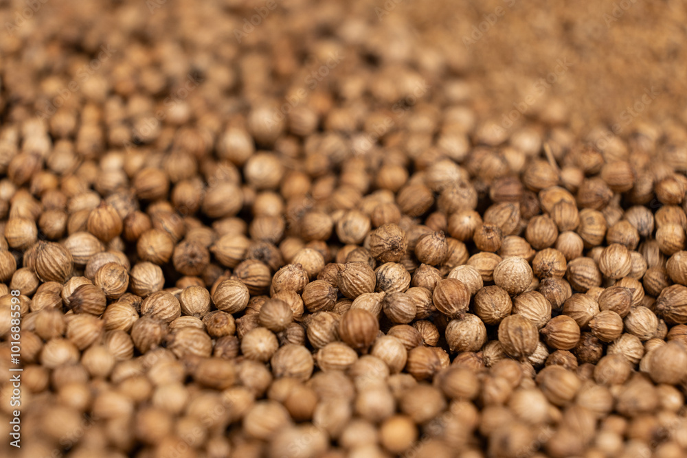 Macro Grains Coriander Natural Spice Selective Focus Macro Grains Coriander Natural Spice Selective Focus