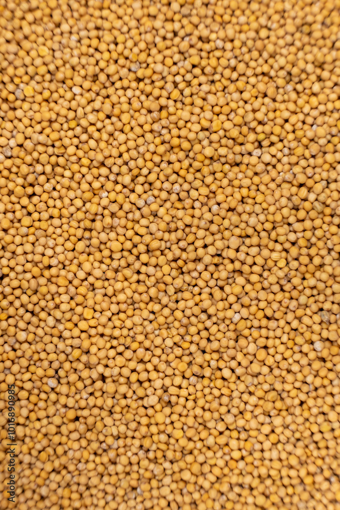 Yellow Dry Mustard Seed Background, Natural Organic Seasoning, Top View. Yellow Dry Mustard Seed Background, Natural Organic Seasoning, Top View.