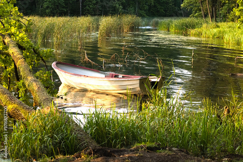 Boat on the lake, Fallen tree into the lake. Holiday on the narure.