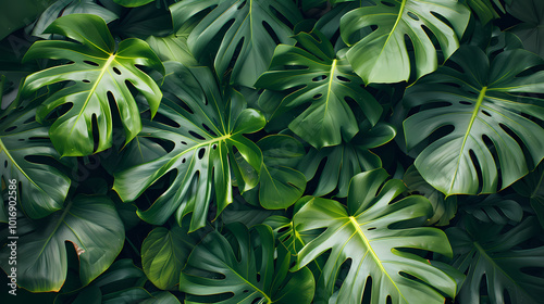 close up of green plant generated AI