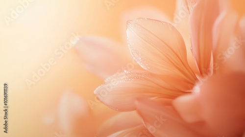 Subtle peach solid color with a smooth gradient, ideal for copy space.