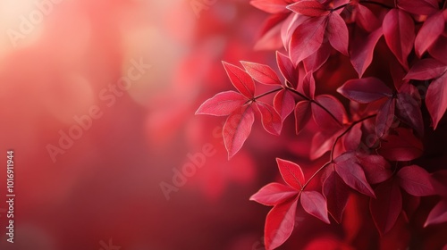Warm autumn red solid color with a soft gradient, leaving ample space for copy