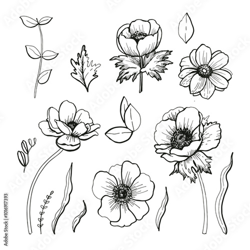 set of flowers
