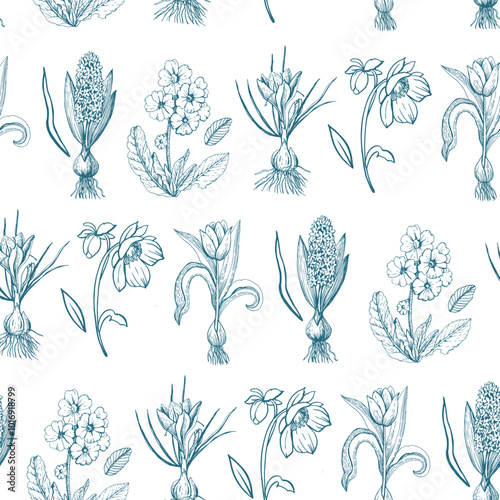 Spring plants graphic plants