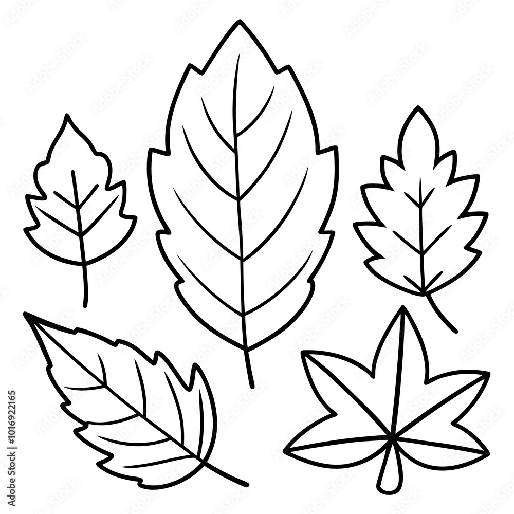 Fototapeta premium set of silhouettes