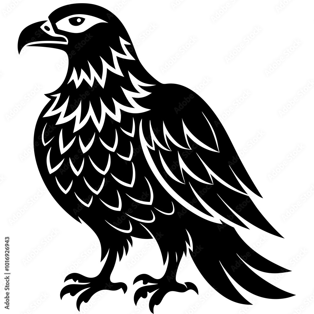 eagle vector illustration eagle vector illustration
