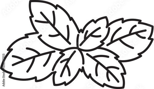 basil herb spice ingradient food clipart