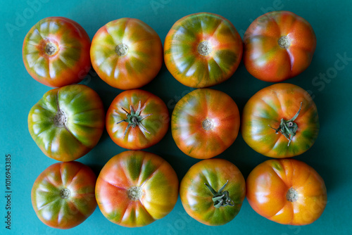 tomatoes on a green background