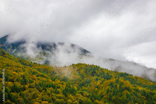 Landscape with steam, clouds above an autumn forest