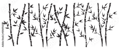Bamboo tree on white. Hand drawn style. Vector illustrations.	