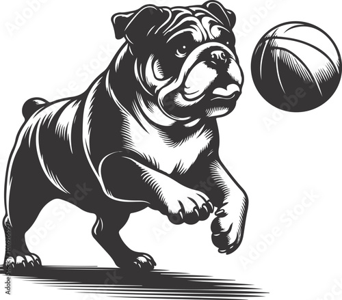 french bulldog Fetching a ball silhouette vector design.
