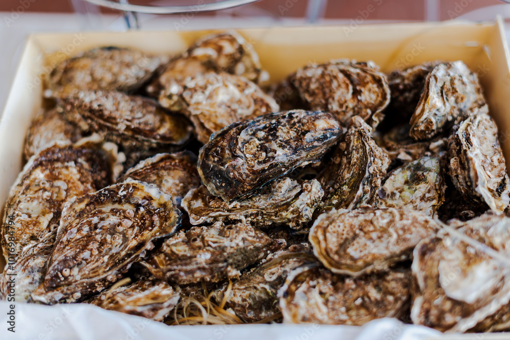 Fresh Oysters arrived in a wooden box ready to be served. Fresh Oysters arrived in a wooden box ready to be served.