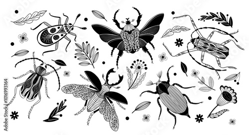 Hand Drawn bugs and beetles with flowers and leaf.