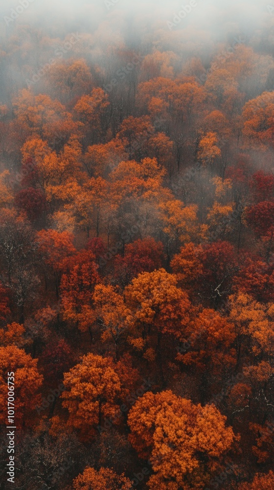 Misty autumn forest landscape in rich hues for smartphone wallpaper Misty autumn forest landscape in rich hues for smartphone wallpaper