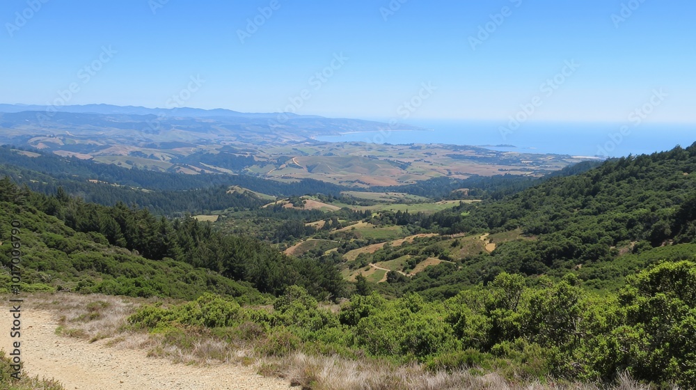 Naklejka premium Breathtaking coastal vista from the hills with rolling landscapes in California on a sunny day