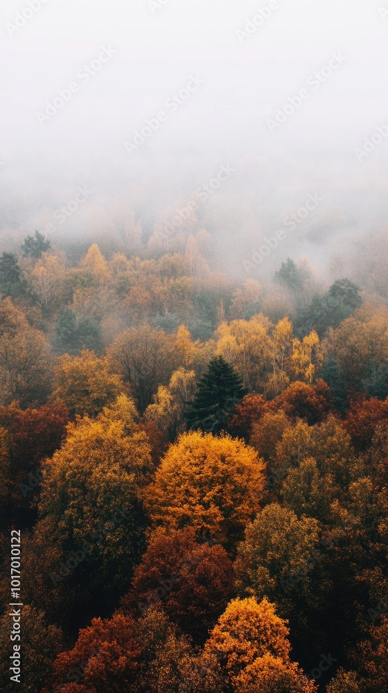 Foggy aerial view of a stunning autumn forest with vibrant foliage in warm hues