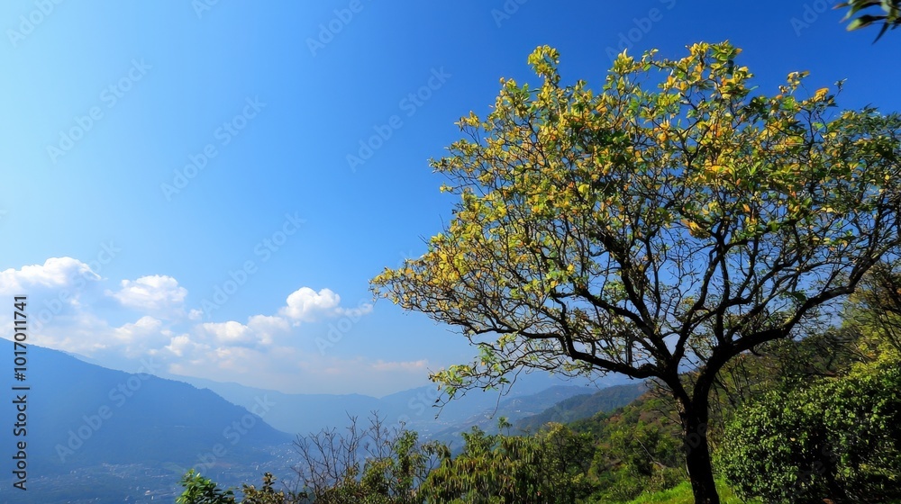 A serene landscape with a lone tree under a clear blue sky in the mountains A serene landscape with a lone tree under a clear blue sky in the mountains