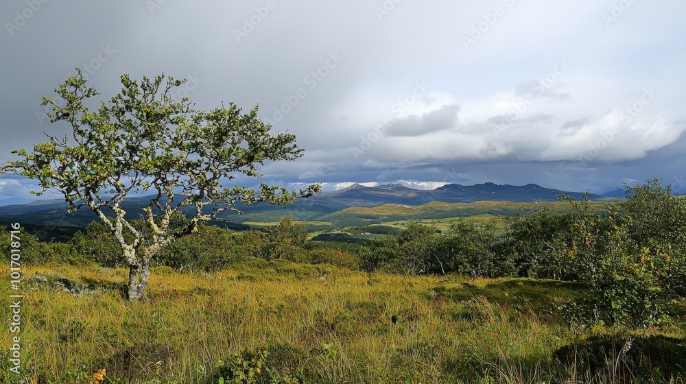 A serene landscape view of rolling hills and distant mountains under a dramatic sky A serene landscape view of rolling hills and distant mountains under a dramatic sky
