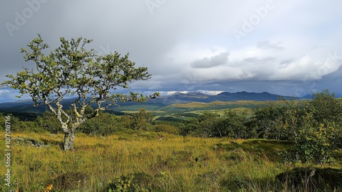 A serene landscape view of rolling hills and distant mountains under a dramatic sky