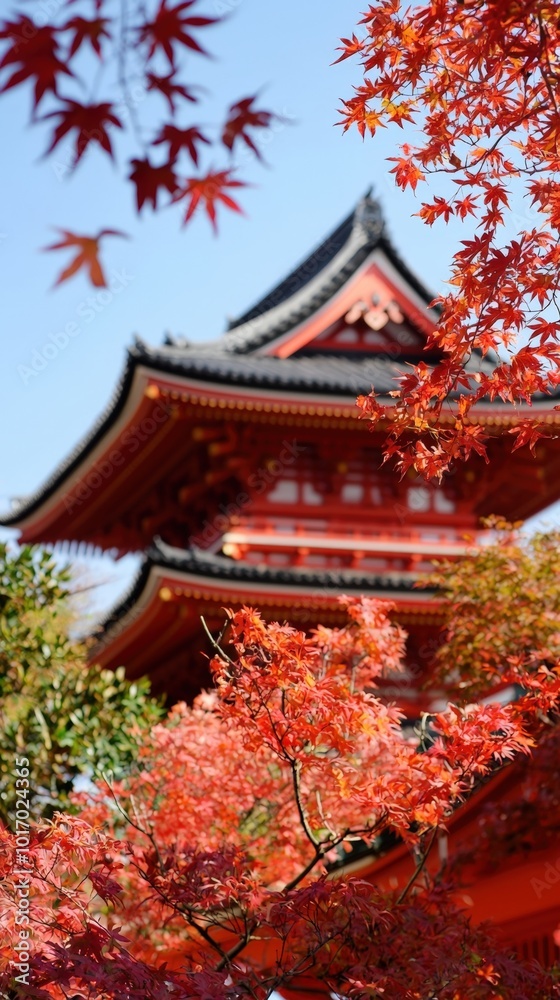 Vibrant autumn foliage frames a traditional Japanese pagoda under clear blue skies Vibrant autumn foliage frames a traditional Japanese pagoda under clear blue skies