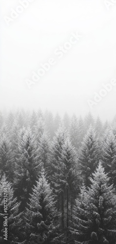 Serene snowy forest with tall pines under a calm overcast sky for a minimalist smartphone wallpaper