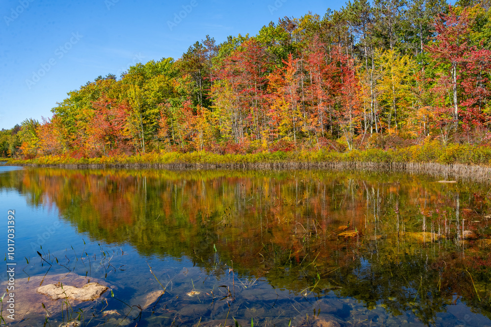 Fall Leaves in New England Autumn, Vermont, New Hampshire, Massachusetts, Maine. Fall Leaves in New England Autumn, Vermont, New Hampshire, Massachusetts, Maine.