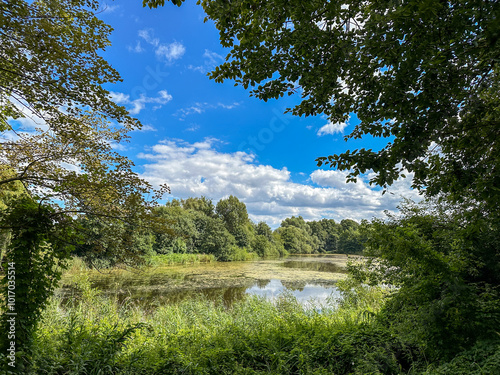 Scenic view of a lake in the Volkspark Rehberge in Berlin, Germany photo