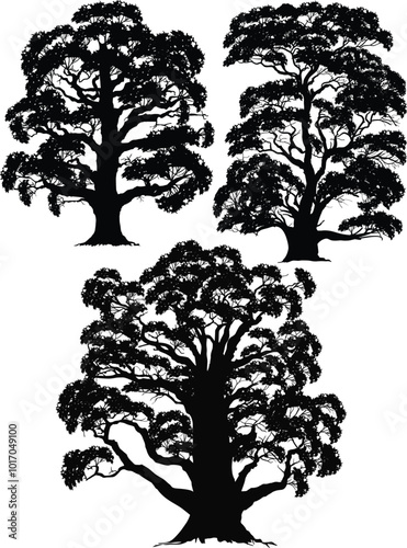 isolated on white lush three trees silhouettes