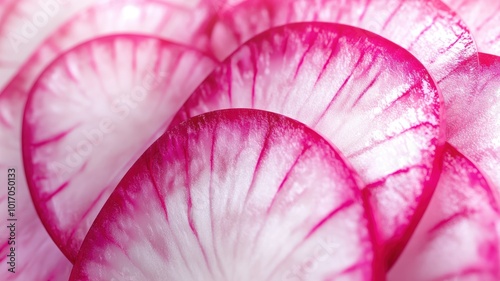 Detailed macro shot of thin...